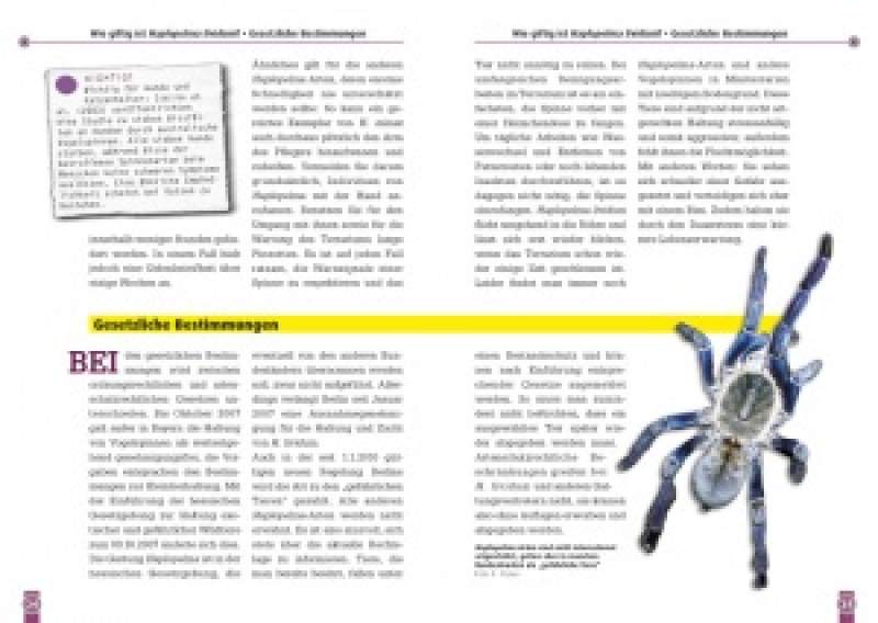 Preview: Die Blaue Thai-Vogelspinne